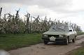 MG Bloesemrit op 24-4-2016 org. Jos&Marie-lou  (215)